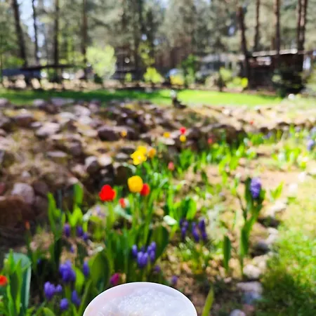 Holiday home Fajno